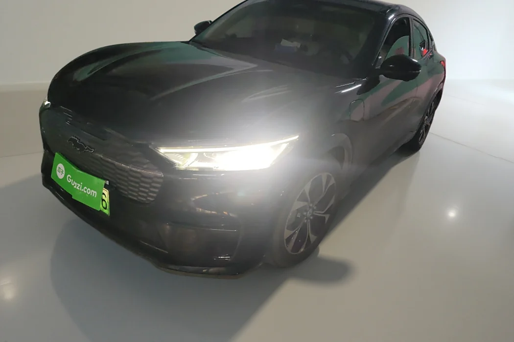 Ford Electric Horse 2021 Frontierless Rear Drive Deluxe (Long Range)