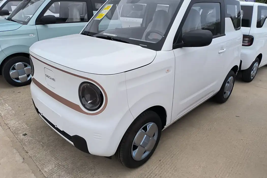 Geely Galaxy 2024 Panda mini 200km Endurance Bear