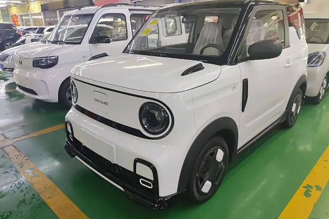 Geely Galaxy 2025 210km Panda Cardin