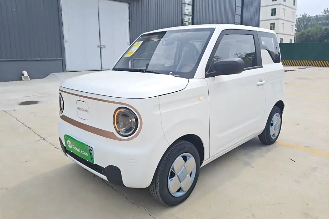 Geely Galaxy 2024 Panda mini 200km Endurance Bear