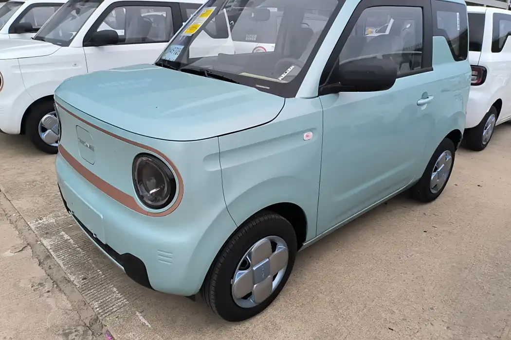Geely Galaxy 2024 Panda mini 200km Endurance Bear
