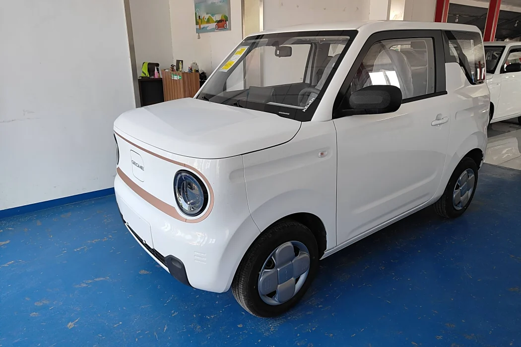 Geely Galaxy 2024 Panda mini 200km Endurance Bear