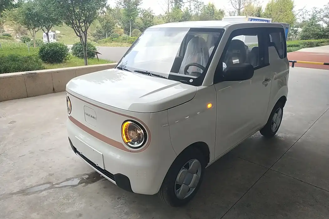 Geely Galaxy 2024 Panda mini 200km Endurance Bear