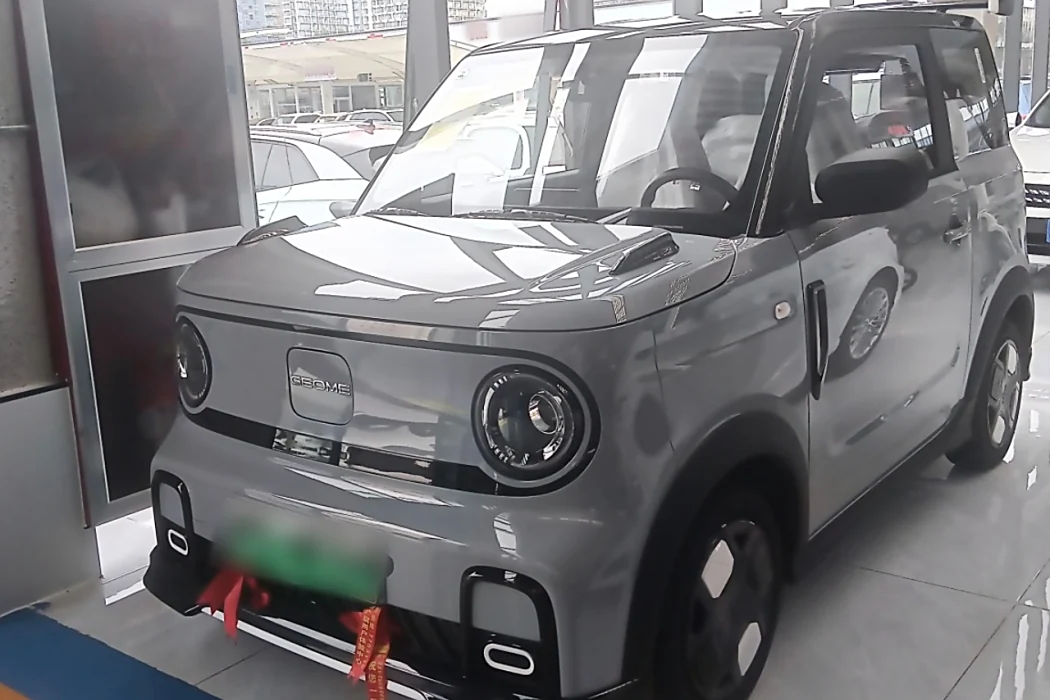 Geely Galaxy 2025 210km Panda Cardin