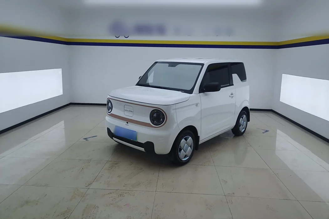 Geely Galaxy 2024 Panda mini 200km Endurance Bear