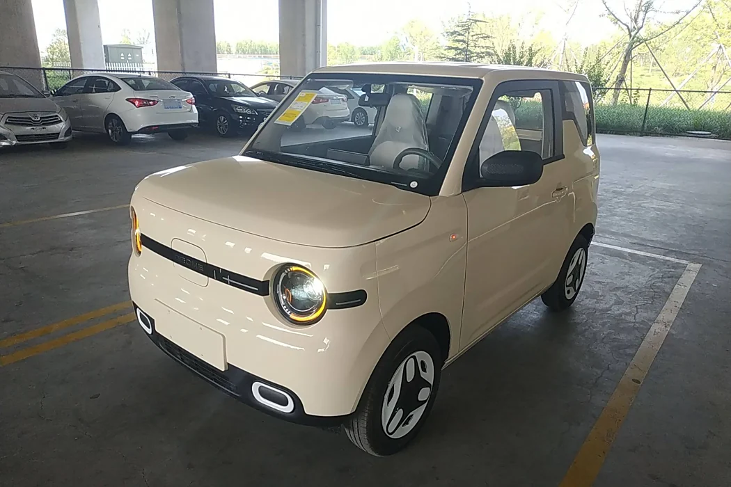 Geely Galaxy Panda 2025 210km Vitality Bear