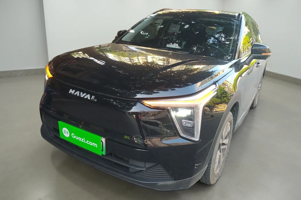 Haval Xiaolong 2023 1.5L 110KM Leading Version