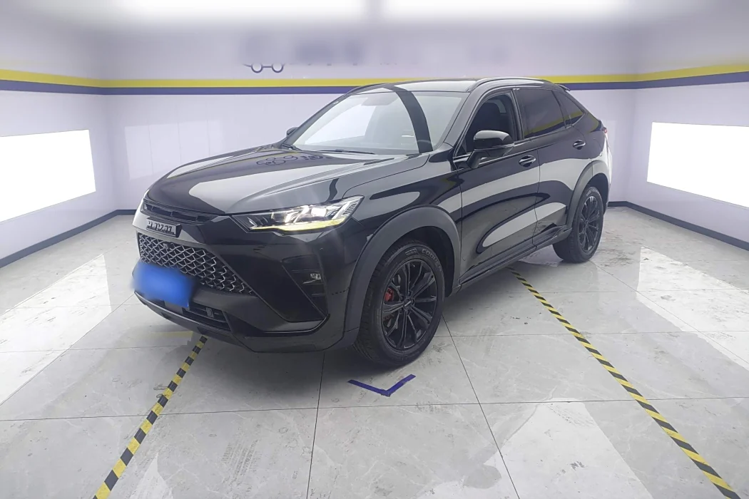 Haval H6S 2022 2.0T 2WD Pleasure Edition