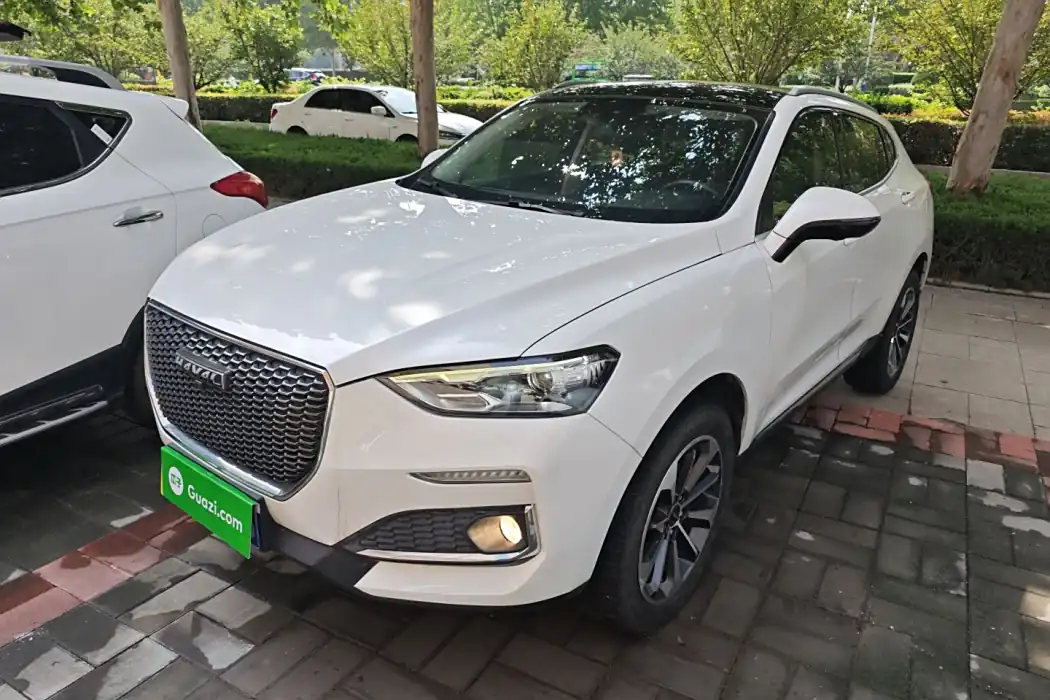 Haval F5 2019 National Tide Edition 1.5T i Tide National VI