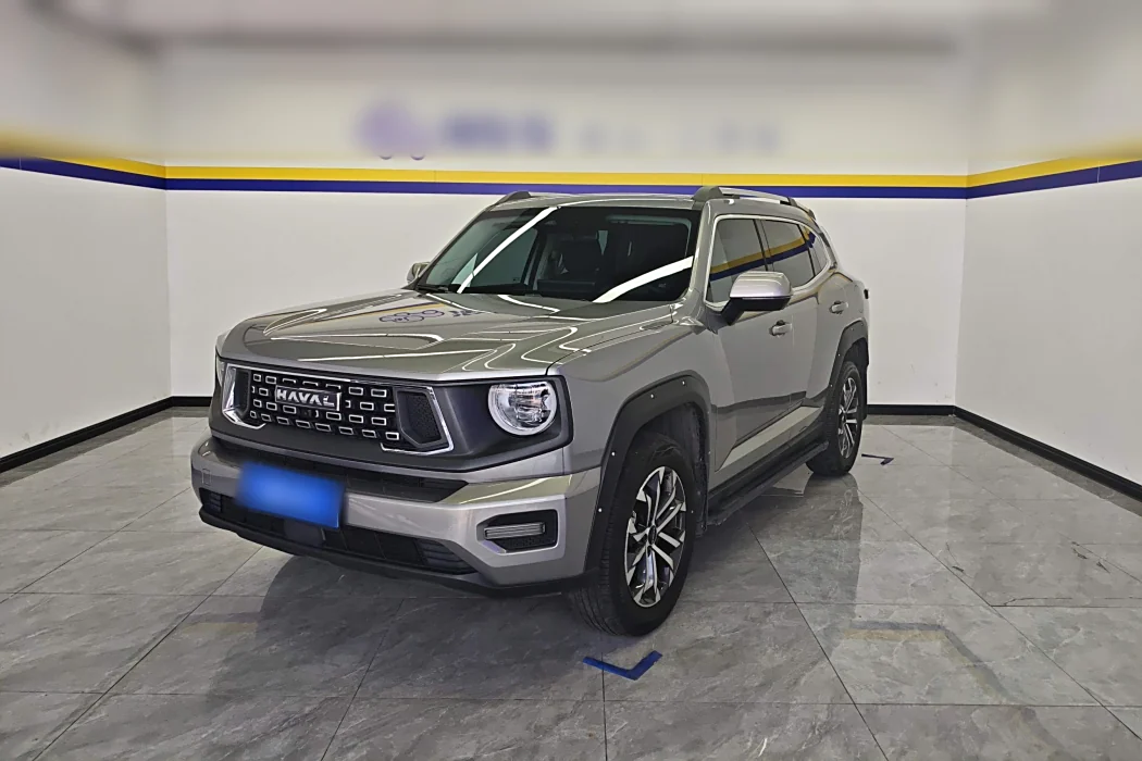 Haval Big Dog PLUS 2023 2.0T two-wheel drive Tide Wild Version Plus