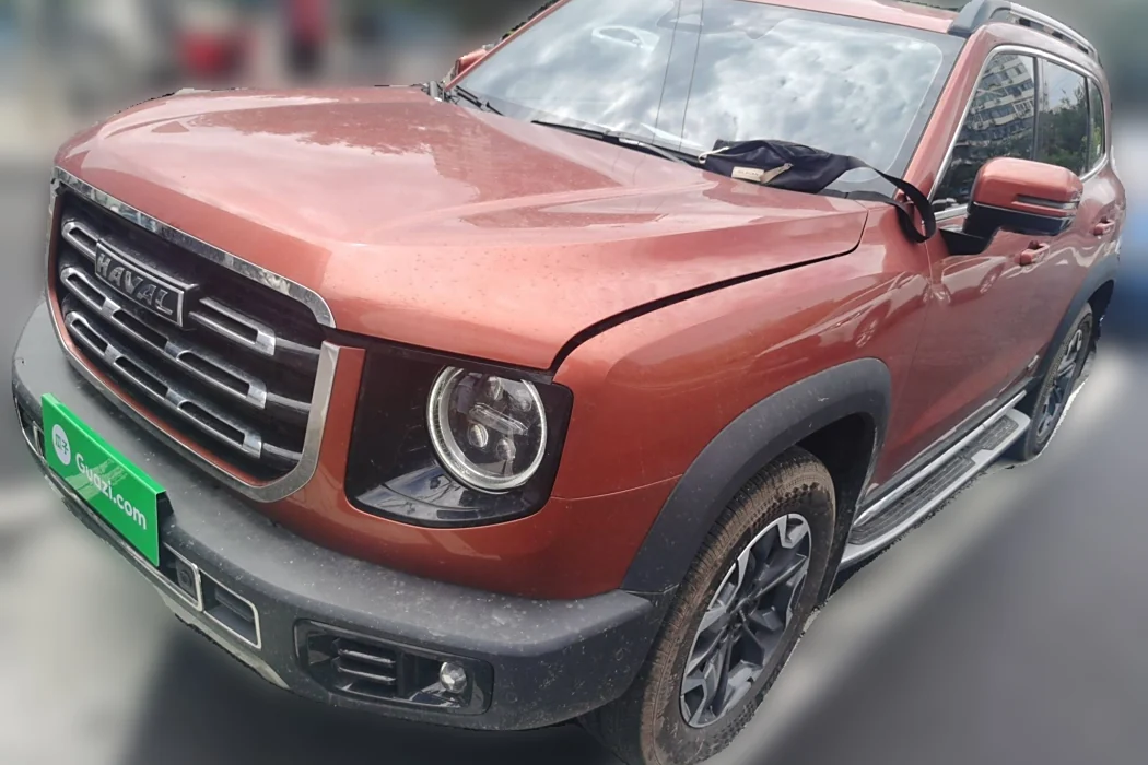 Havoc Big Dog 2021 2.0T DCT 4WD Roaring Dog Edition