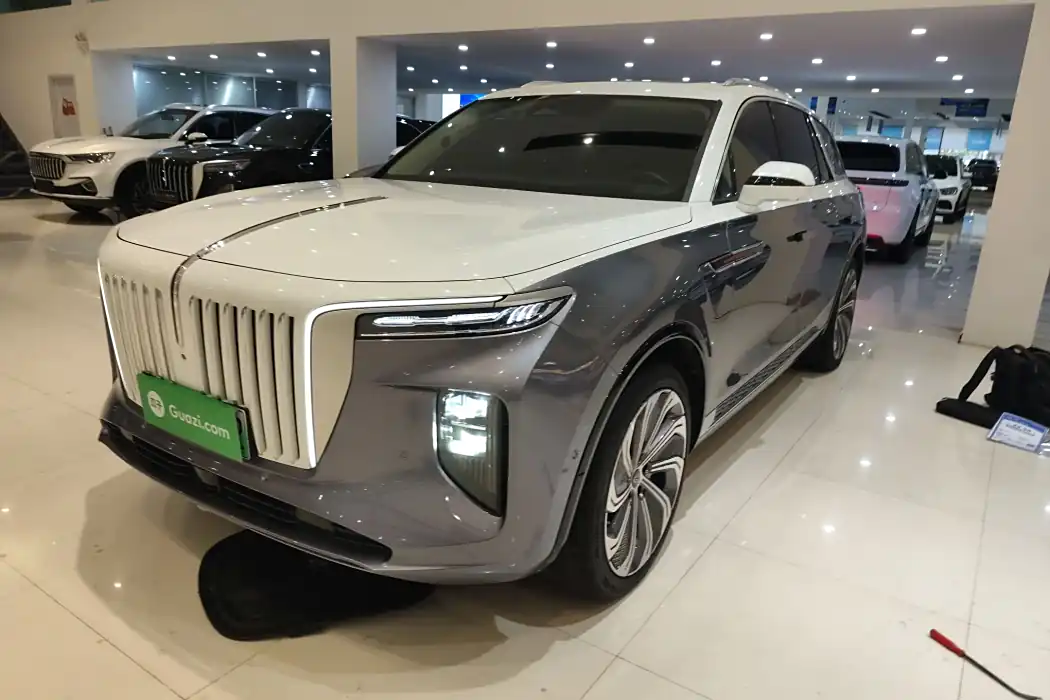 Hongqi E-HS9 2021 510km flag collar version four-seater