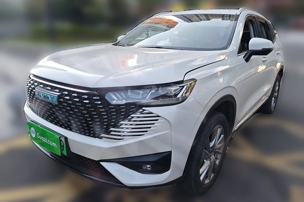 HAVER H6 NEW ENERGY 2023 DHT-PHEV 110KM LOVE VERSION