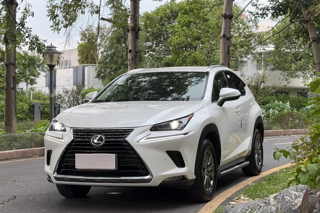 Lexus NX 2020 200 Front Drive Fierce Edition National VI