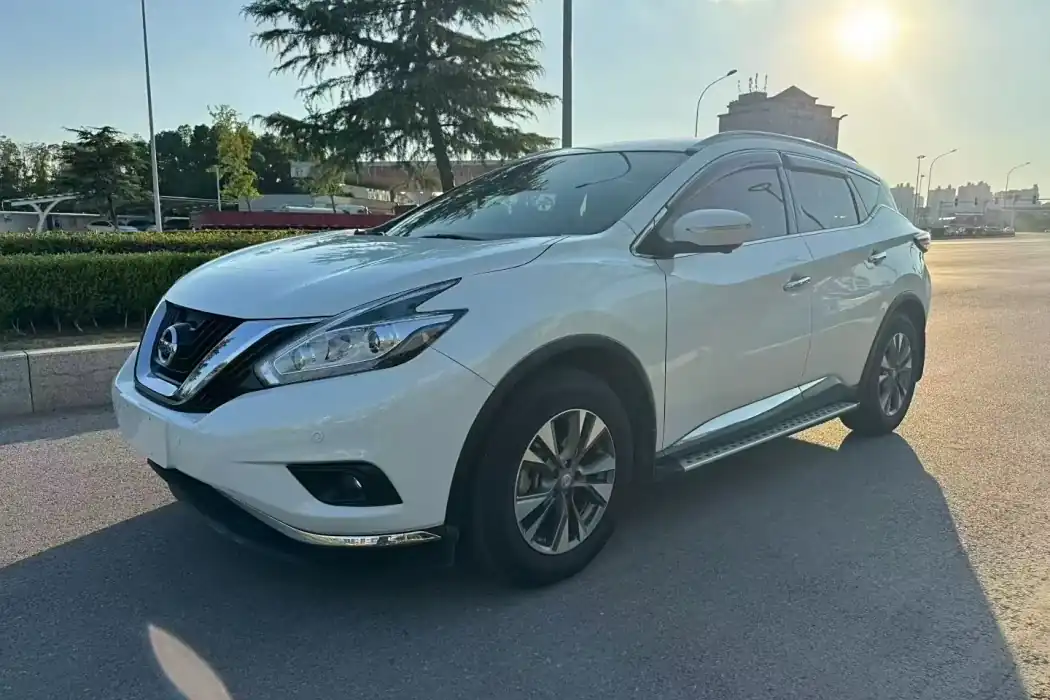 Nissan Loulan 2019 2.5L XL two-wheel drive Zhilian Deluxe Edition Country VI