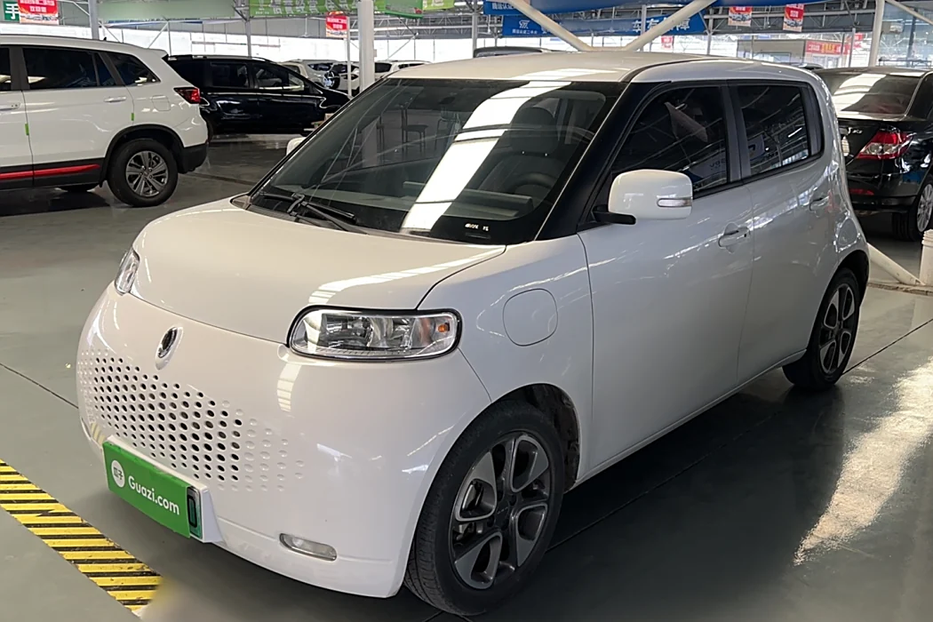 Euler White Cat 2020 Model 305km Luxury Type
