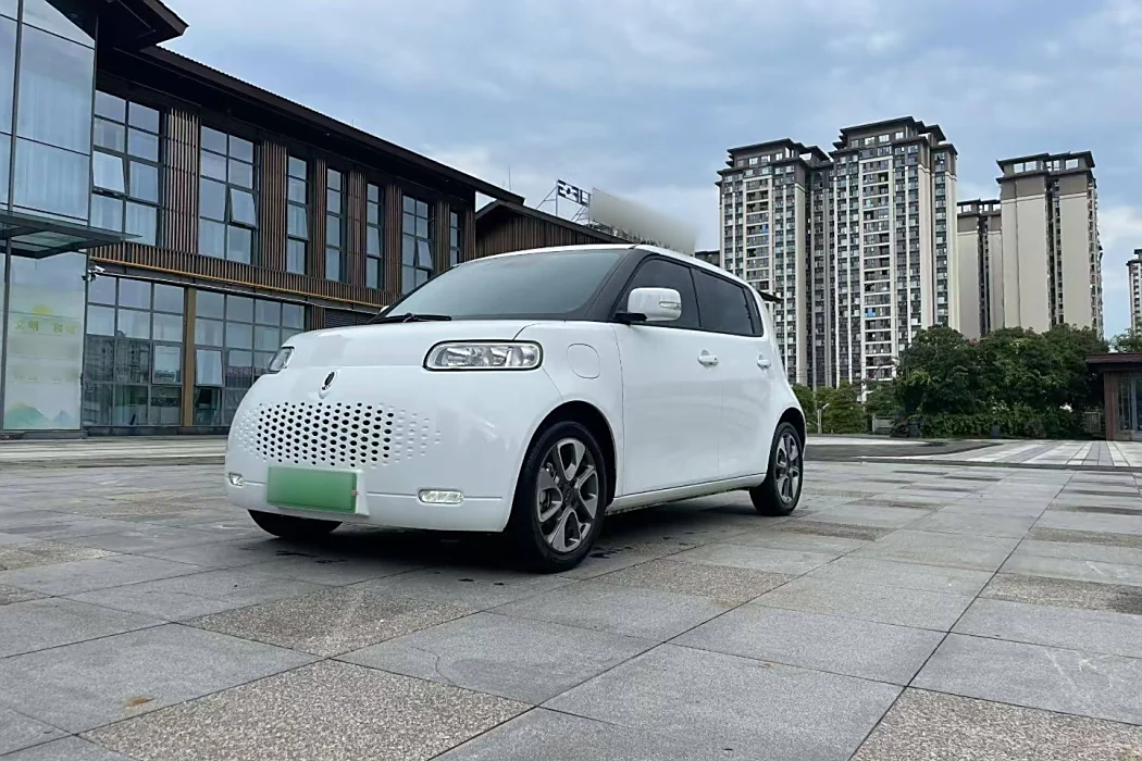 Euler White Cat 2020 Model 305km Luxury Type