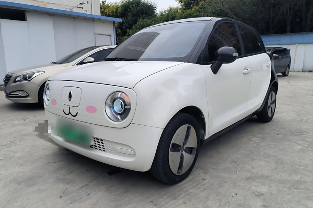 Euler Black Cat 2021 Model 301km Basic Type