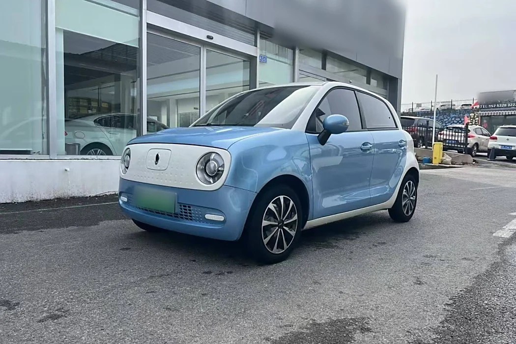 Euler Black Cat 2021 Model 301km Basic Type