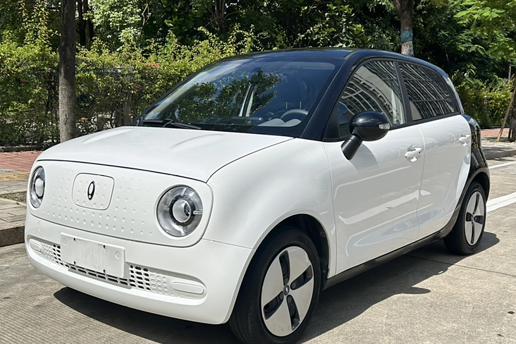 Euler Black Cat 2022 Model facelift 301km Cute Pet Version Lithium Iron Phosphate
