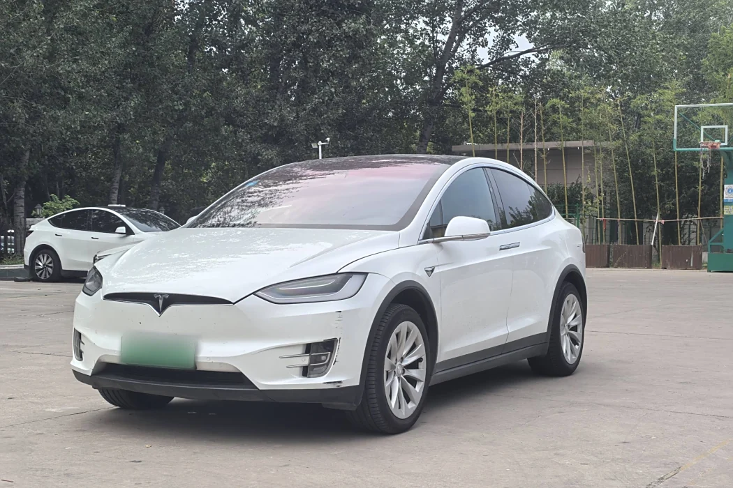 Tesla Model X 2019 Long Battery Life Version