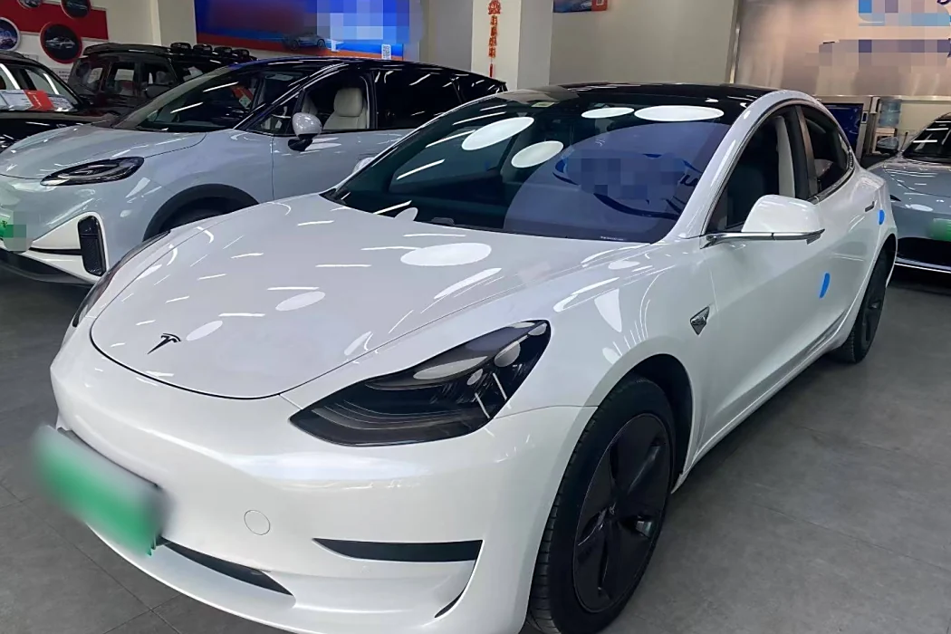 Tesla Model 3 2020 Standard Range Rear Drive Upgrade