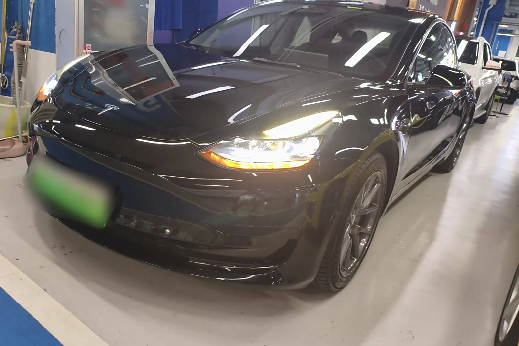 Tesla Model 3 2021 Standard Range Rear Drive Upgrade 3D6