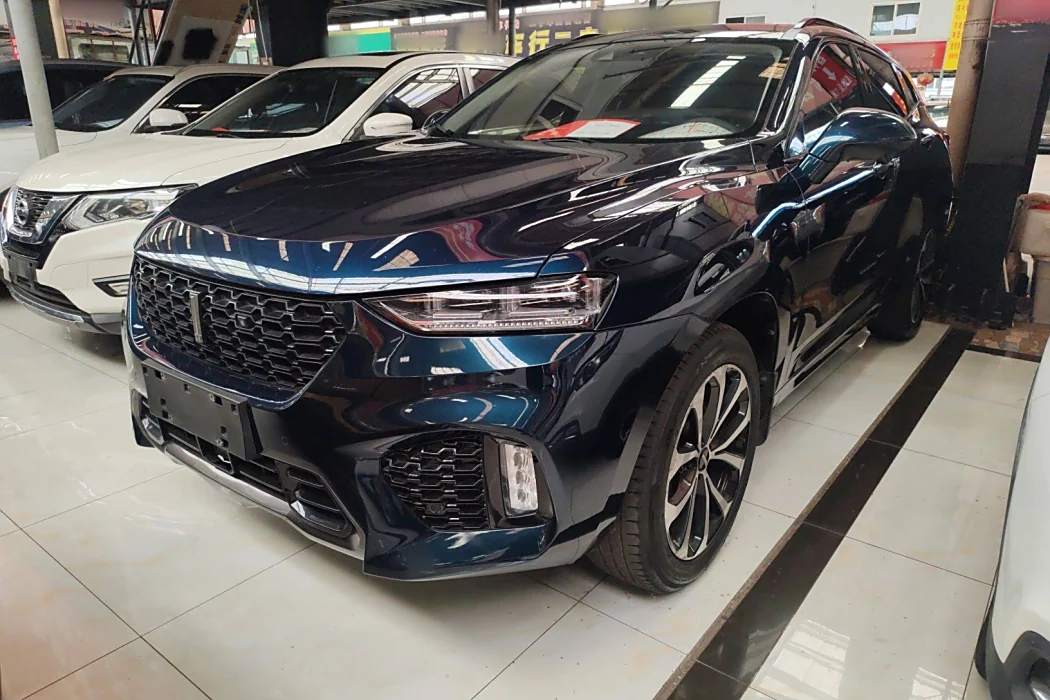 Wei brand VV7 2019 upgraded 2.0T Super Luxury National V