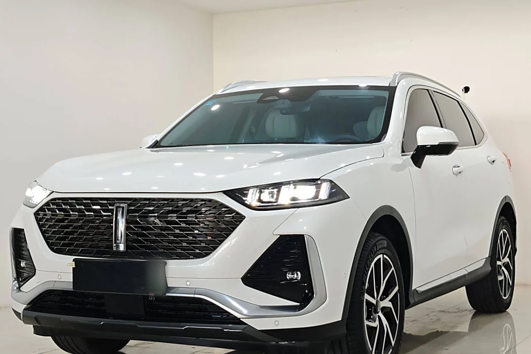 Wei brand latte DHT-PHEV 2022 1.5T two-wheel drive oversized cup