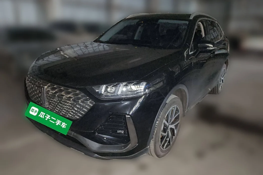 Wei brand latte DHT-PHEV 2022 1.5T two-wheel drive large cup