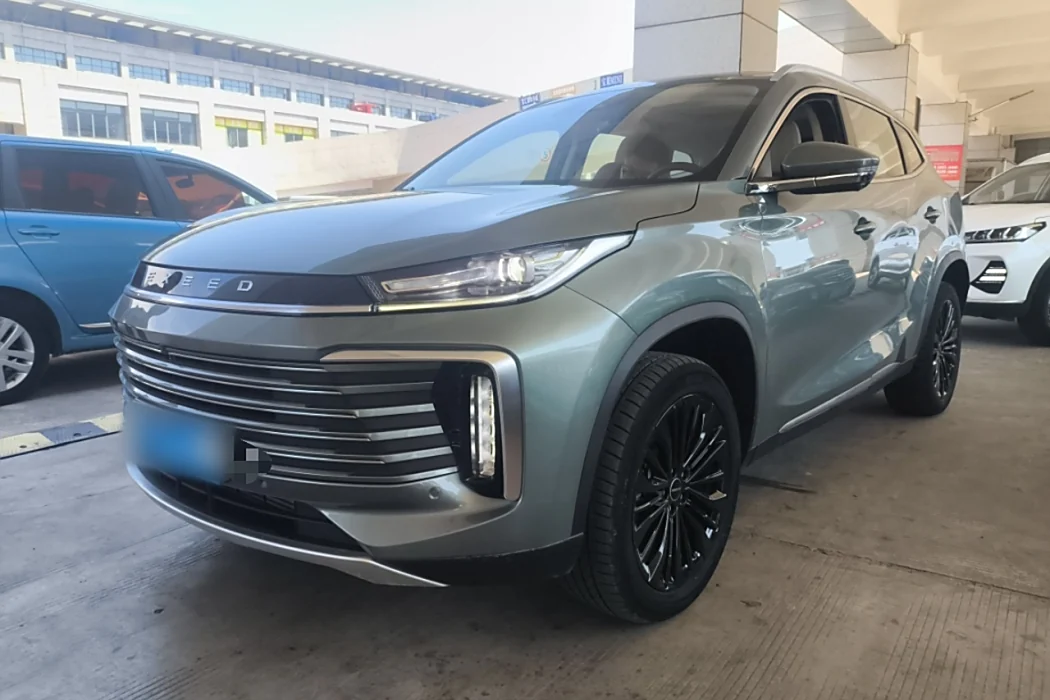 Xingtu Lingyun 2024 300T Two-wheel drive Xingyao Version