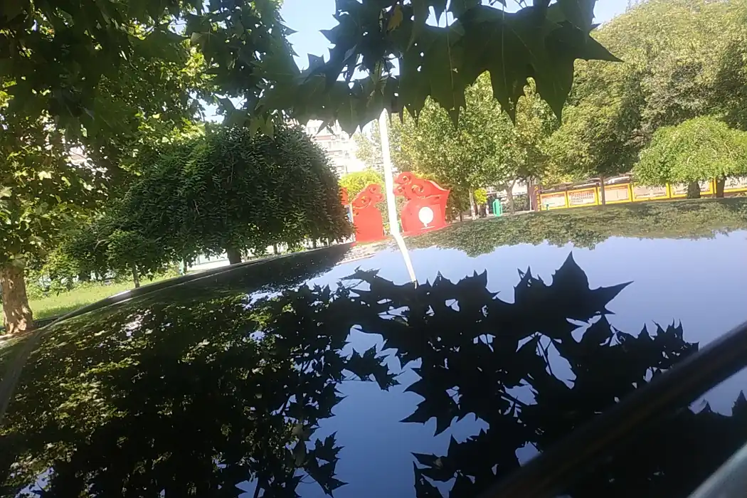 Фото машины