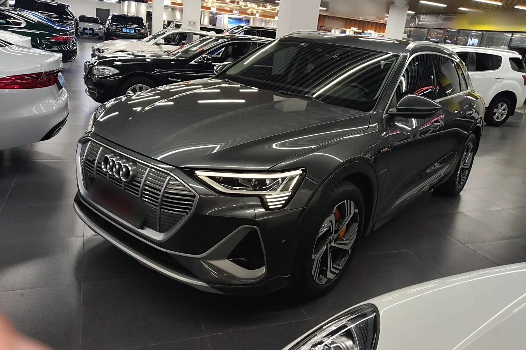 Audi e-tron 2021 50 quattro Pegasus