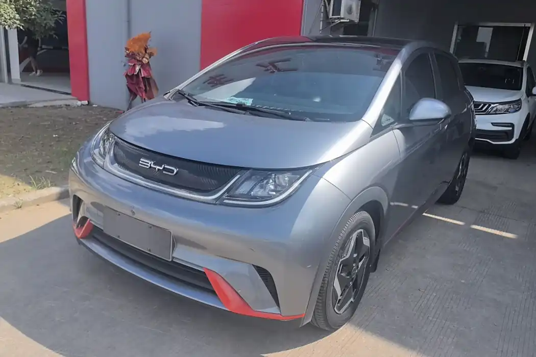 BYD Dolphin 2021 405km Fashion Version