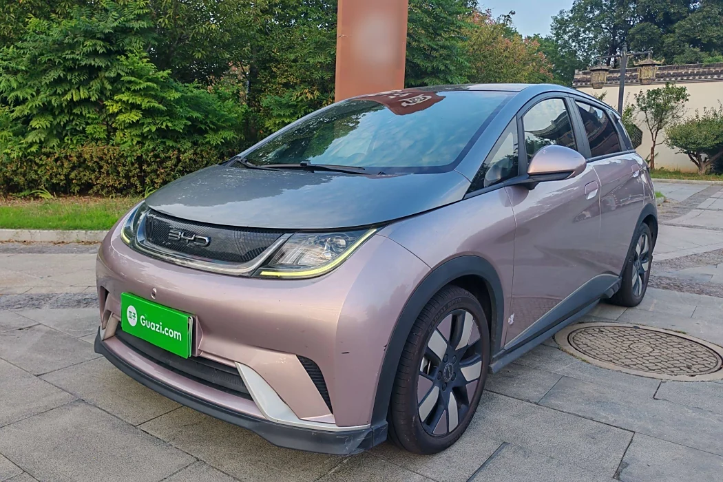 BYD Dolphin 2021 401km Knight Edition