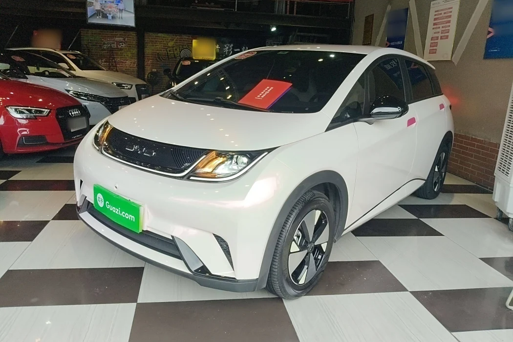 BYD Dolphin 2023 420km Free Version