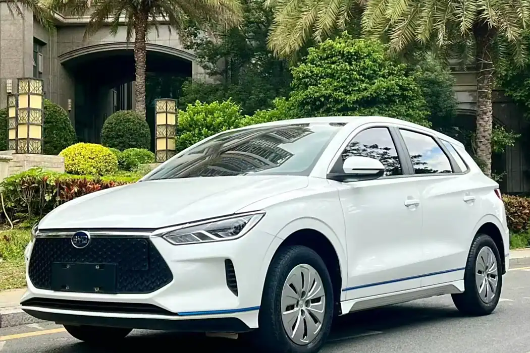 BYD e2 2020 Upgrade Standard Range Standard