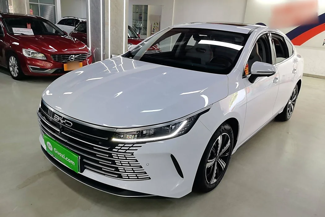 BYD Destroyer 05 2022 DM-i 55KM Luxury Type