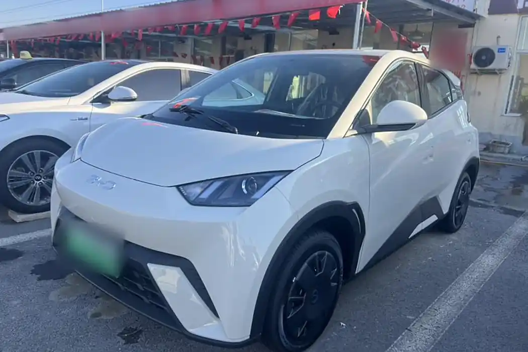 BYD Seagull 2025 305km Vitality Edition