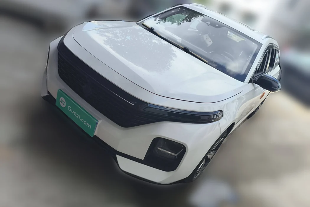 Baojun Valli 2021 1.5T Naqu Fanxing CVT flagship model