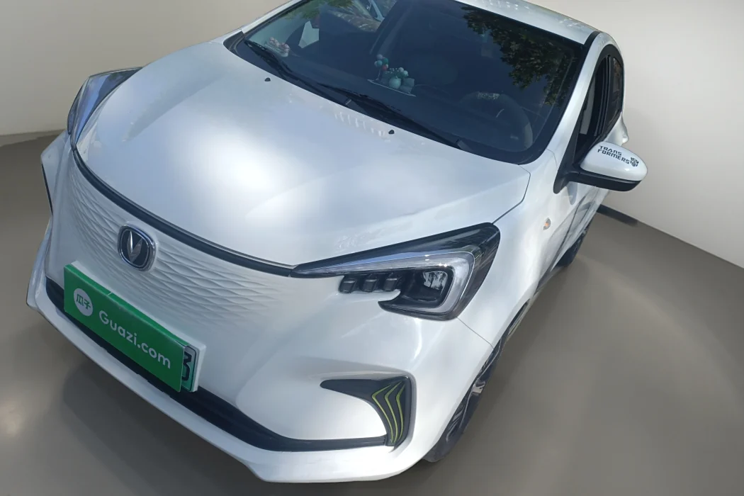 Changan Auchan Benben E-Star 2020 Heart Edition Ternary Lithium