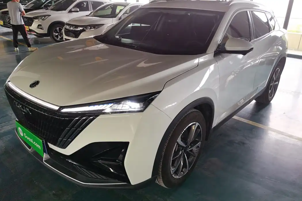 Dongfeng Fengshen Haohan 2023 1.5T Deluxe Edition