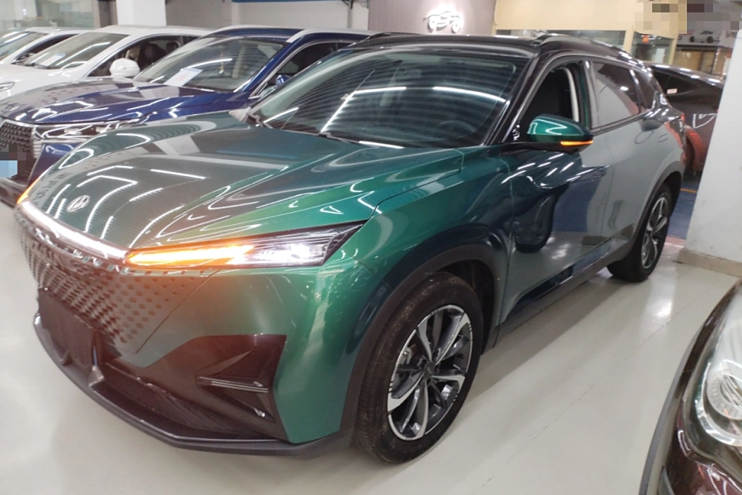 Dongfeng Fengshen Haohan 2023 1.5T Deluxe Edition