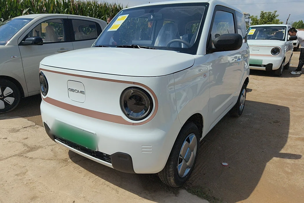 Geely Galaxy 2024 Panda mini 200km Endurance Bear
