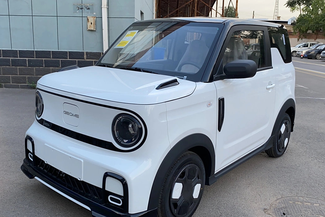 Geely Galaxy 2025 210km Panda Cardin