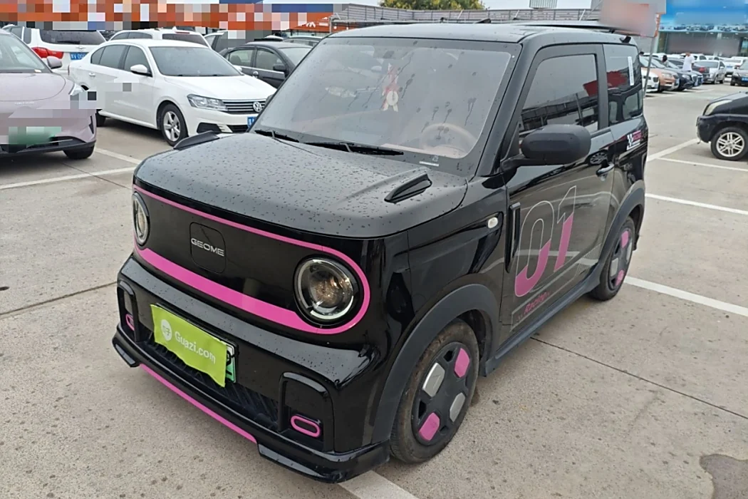 Geely Automobile 2024 200km Panda Cardin