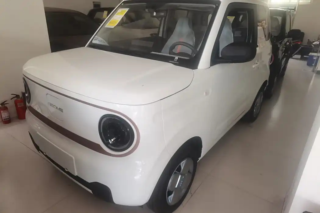Geely Automobile 2024 Panda mini 200km endurance bear