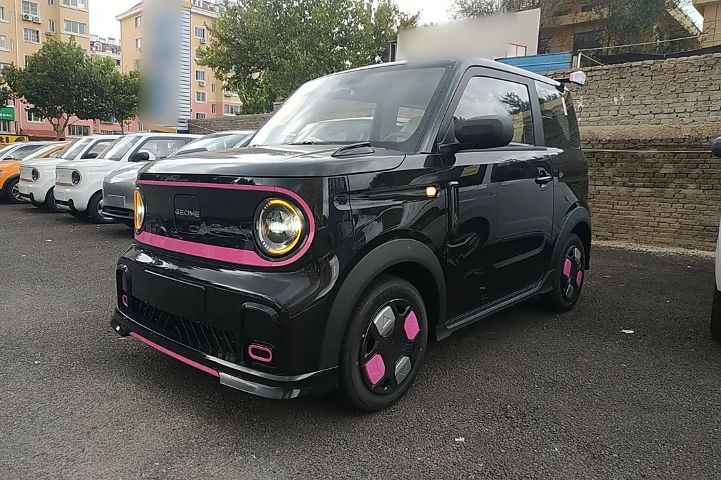 Geely Galaxy 2025 210km Panda Cardin