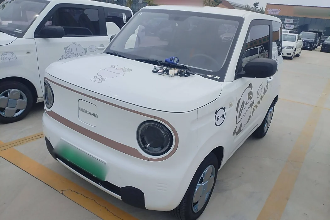 Geely Automobile 2024 Panda mini 200km endurance bear