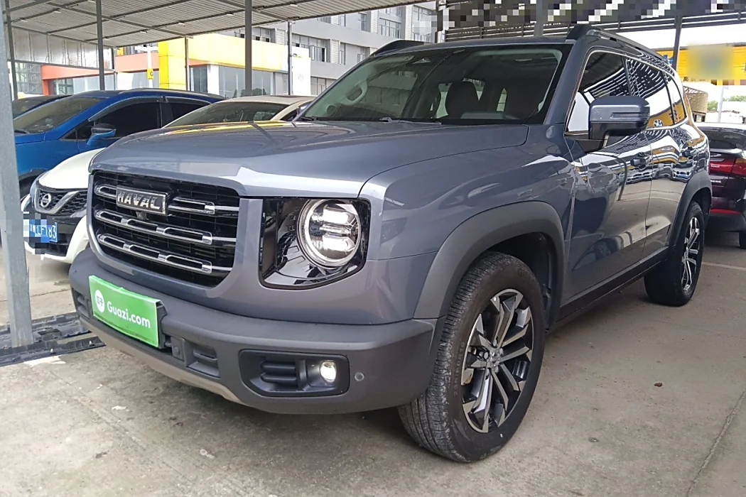 Havoc Big Dog 2021 1.5T DCT 2WD Border Ranch Edition